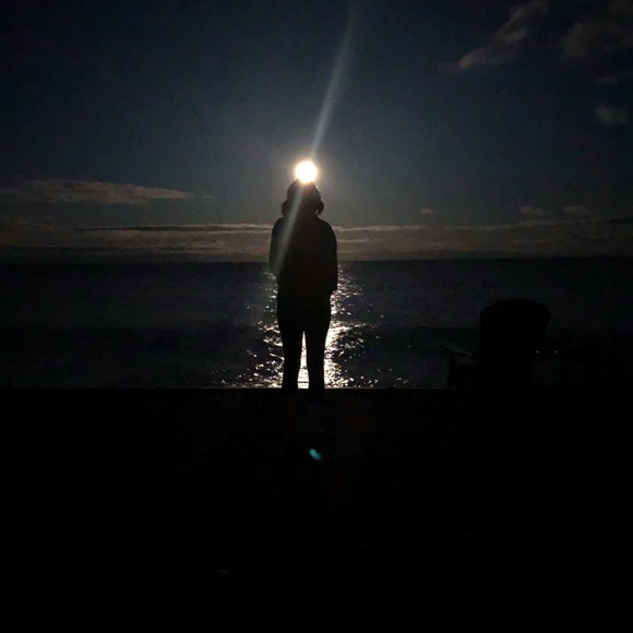 Meet your Posher, Tamra - Picture 4 of 5